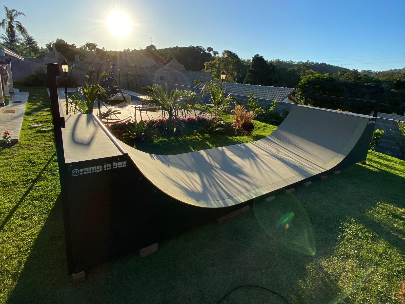 Mini Ramp FISH BRAIN 
